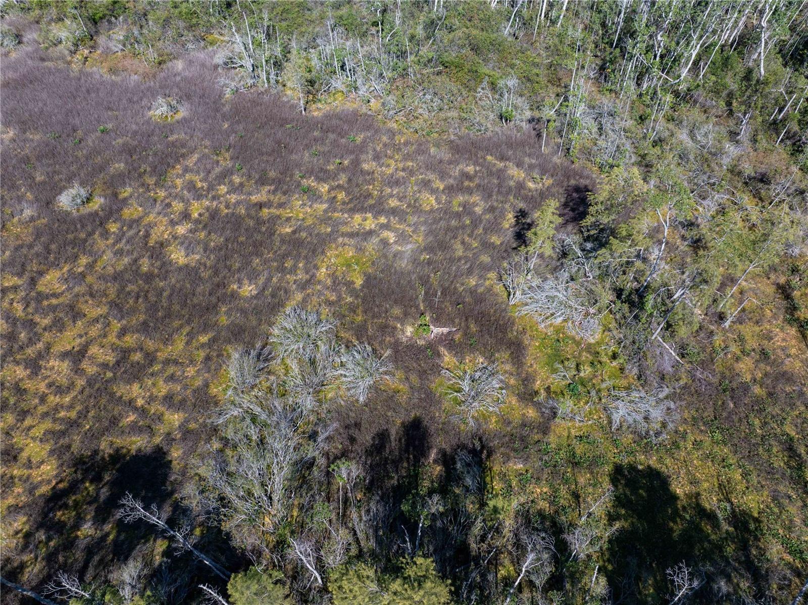 Image 26 of 34 For 8970 Tower Road