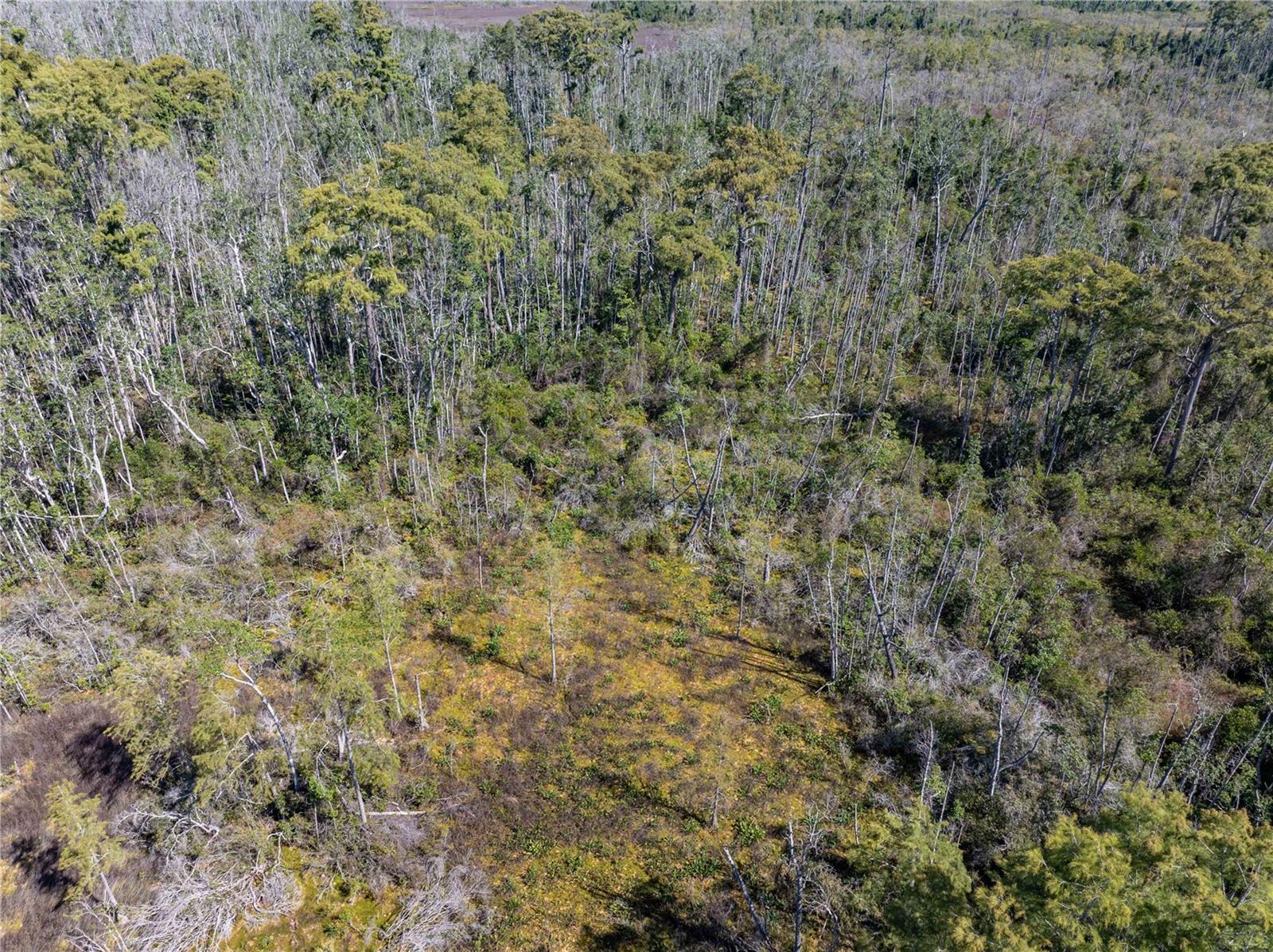 Image 27 of 34 For 8970 Tower Road