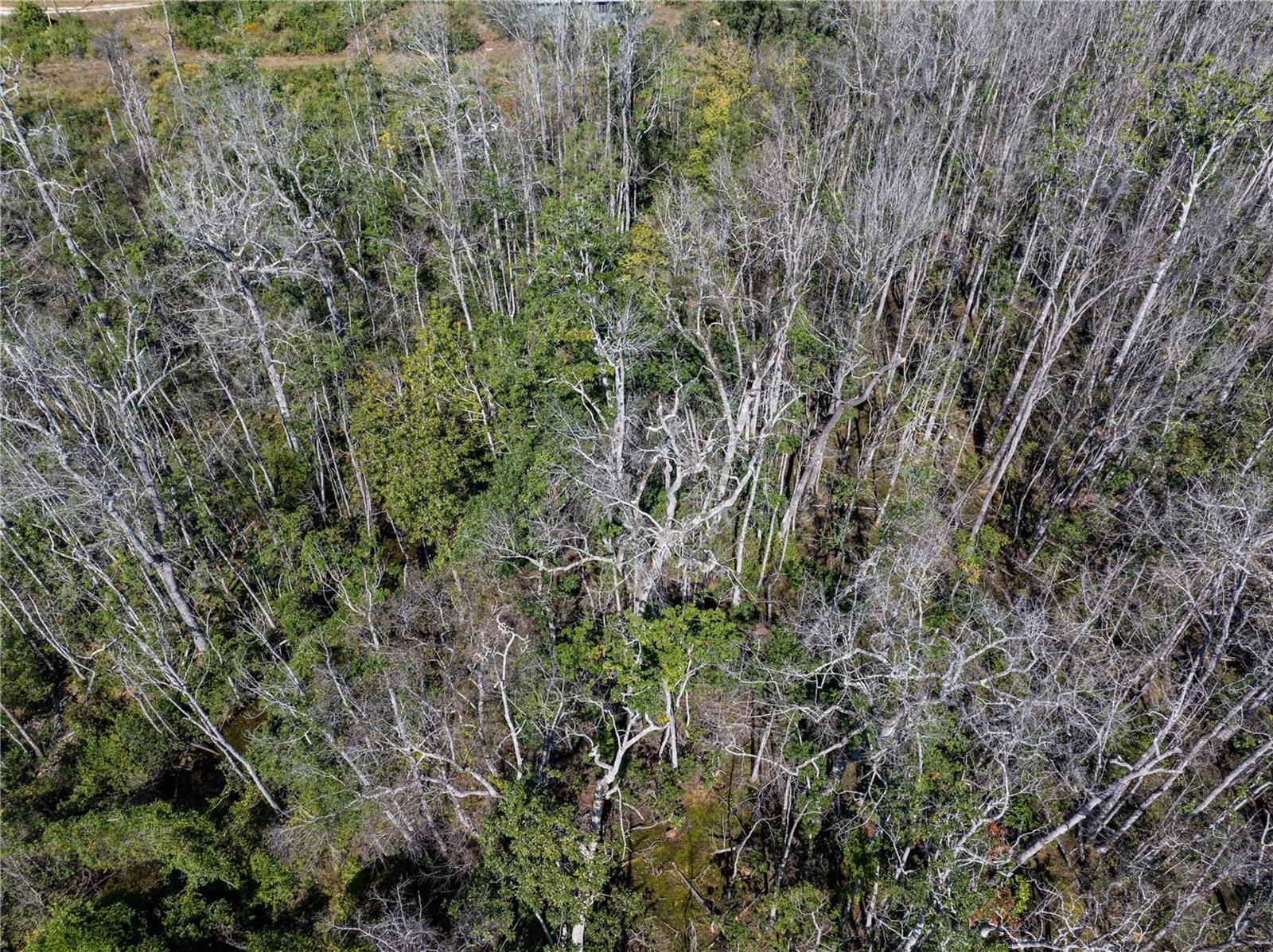 Image 28 of 34 For 8970 Tower Road