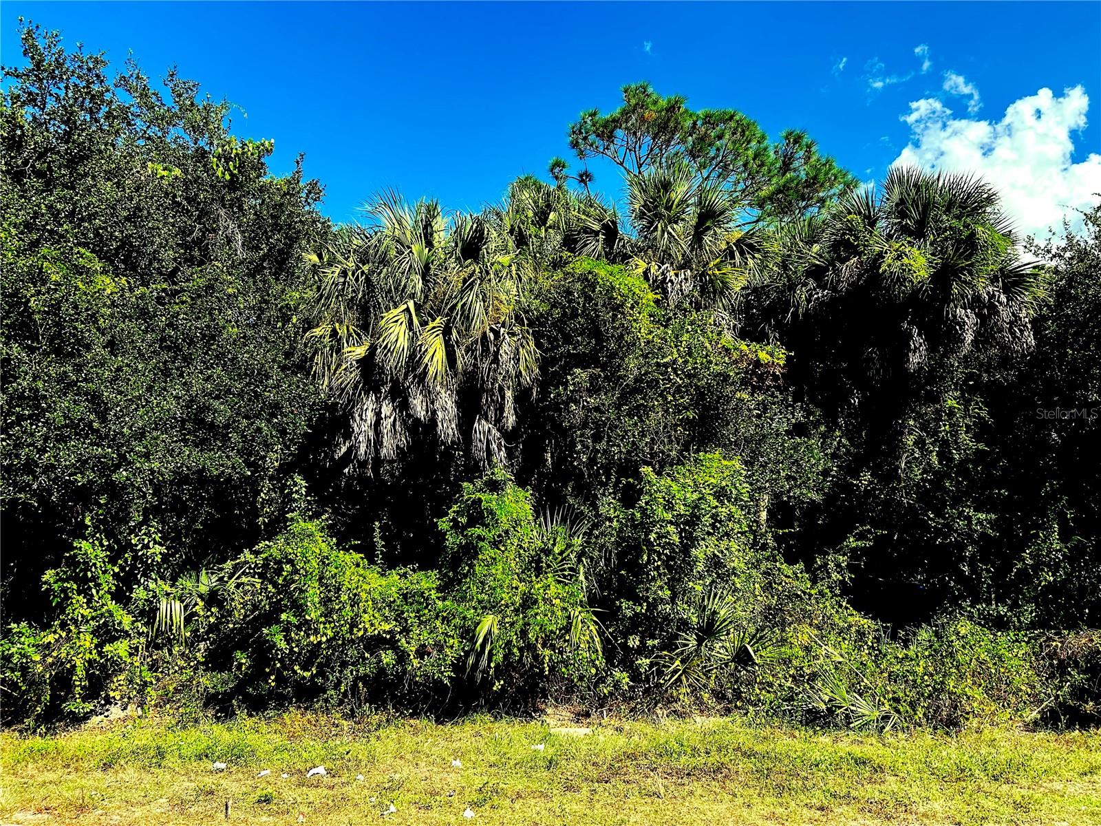 Image 3 of 6 For 1428 Kenesaw Street