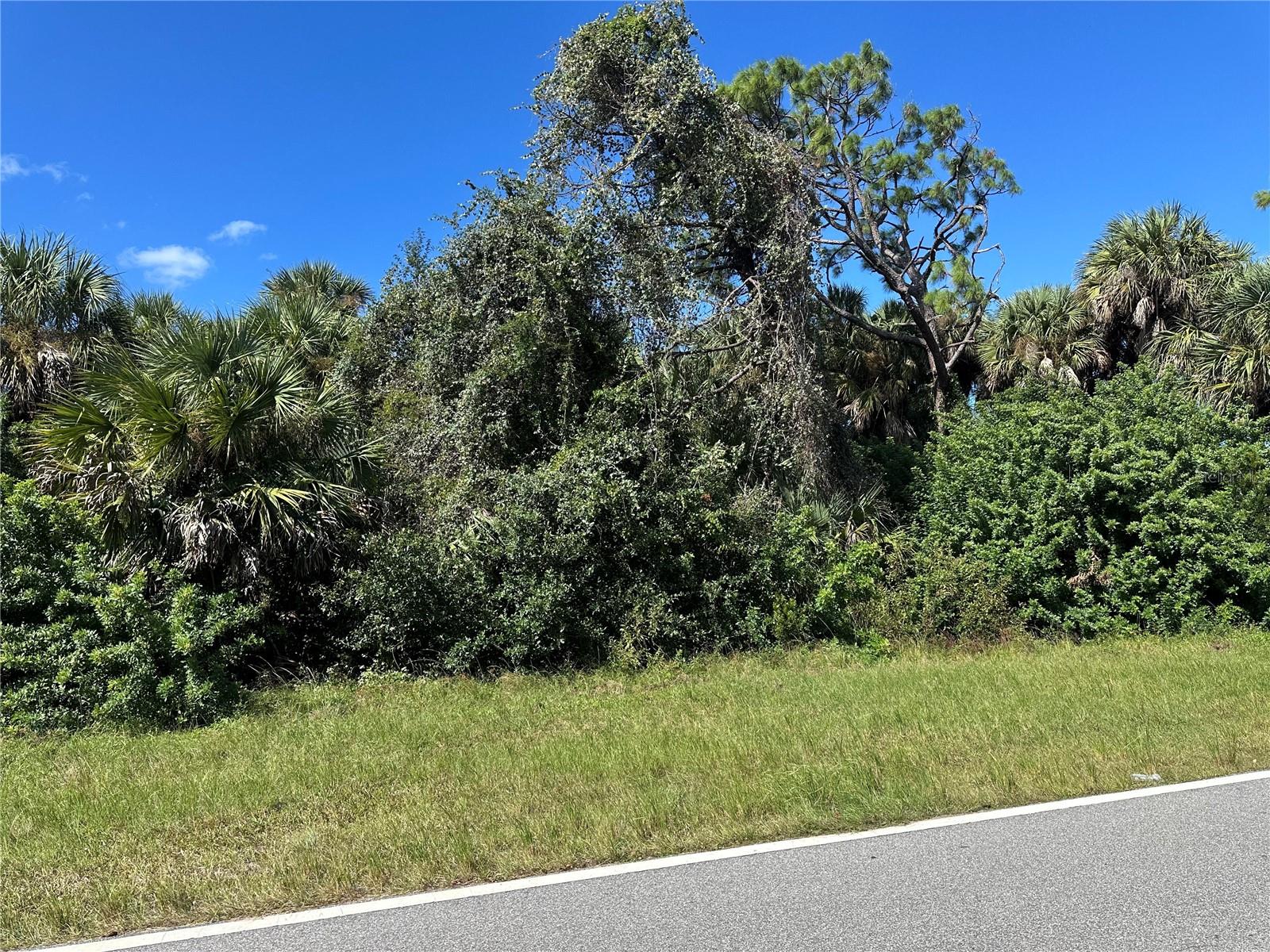 Image 2 of 2 For N Chamberlain Boulevard