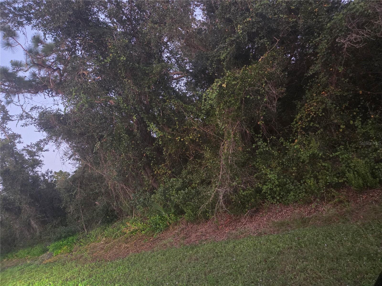 Image 3 of 6 For 150 Richlawn Avenue