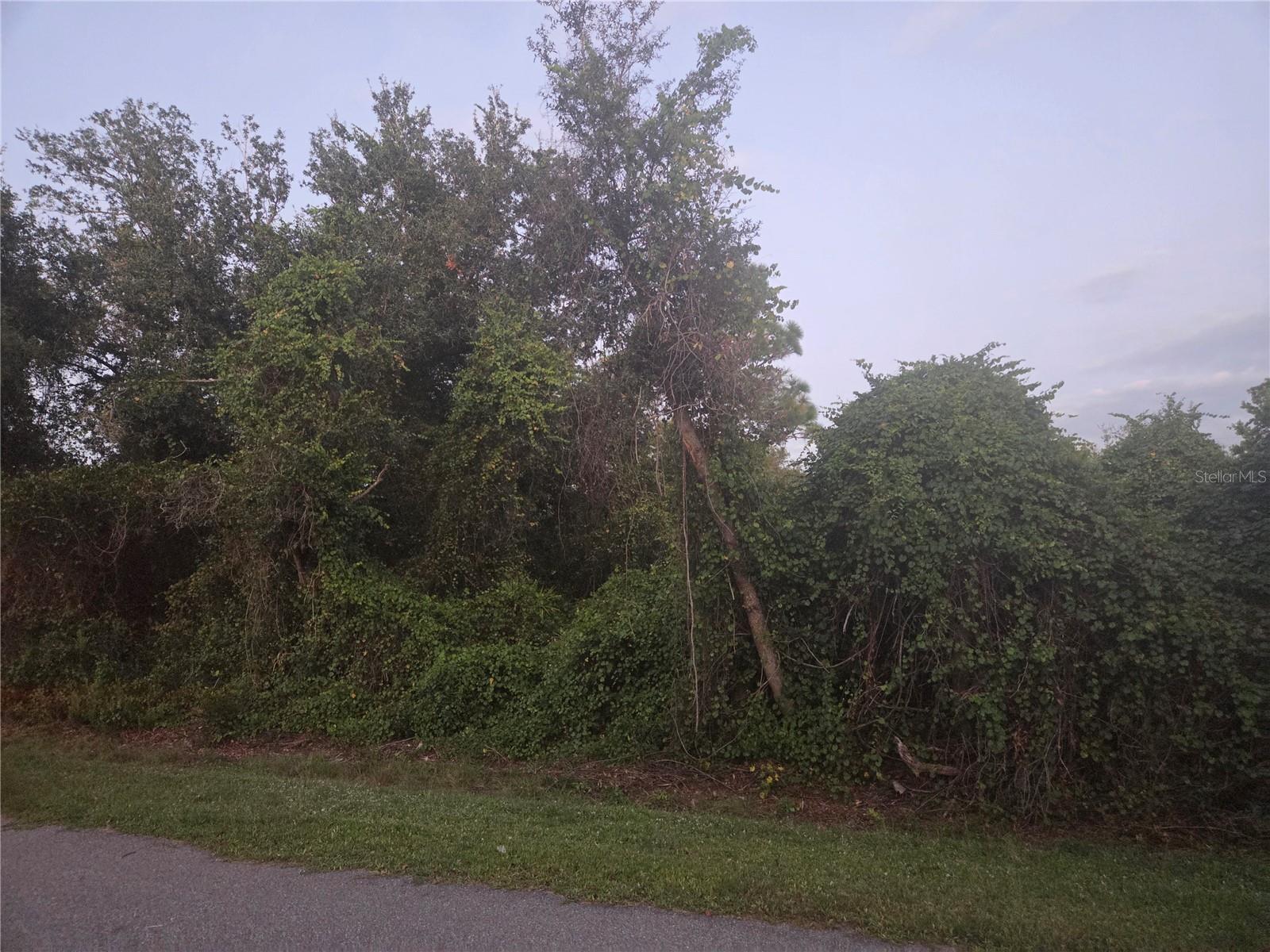 Image 4 of 6 For 150 Richlawn Avenue