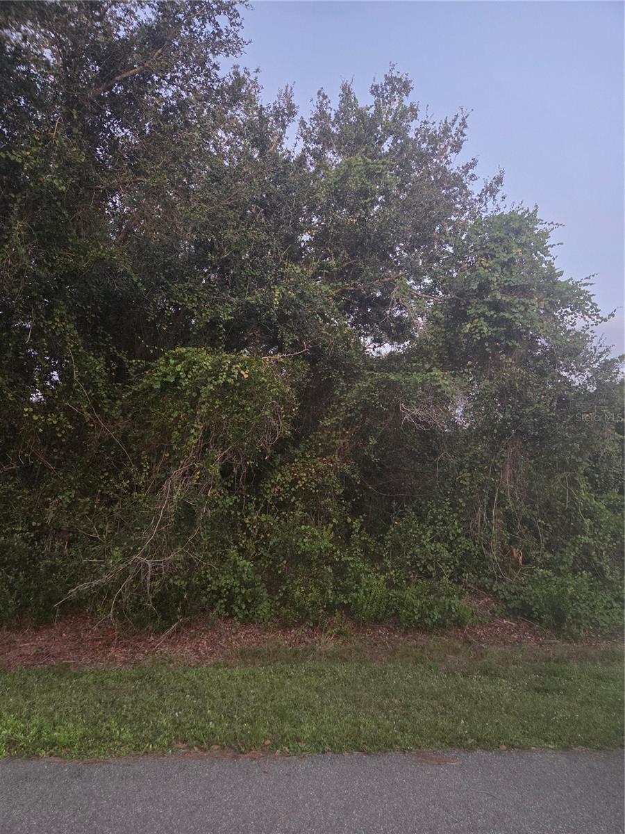 Image 5 of 6 For 150 Richlawn Avenue