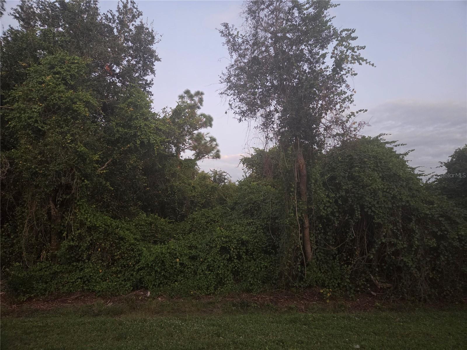 Image 6 of 6 For 150 Richlawn Avenue