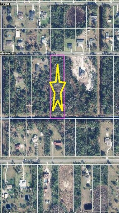 Details for Ralston Street, ORLANDO, FL 32833