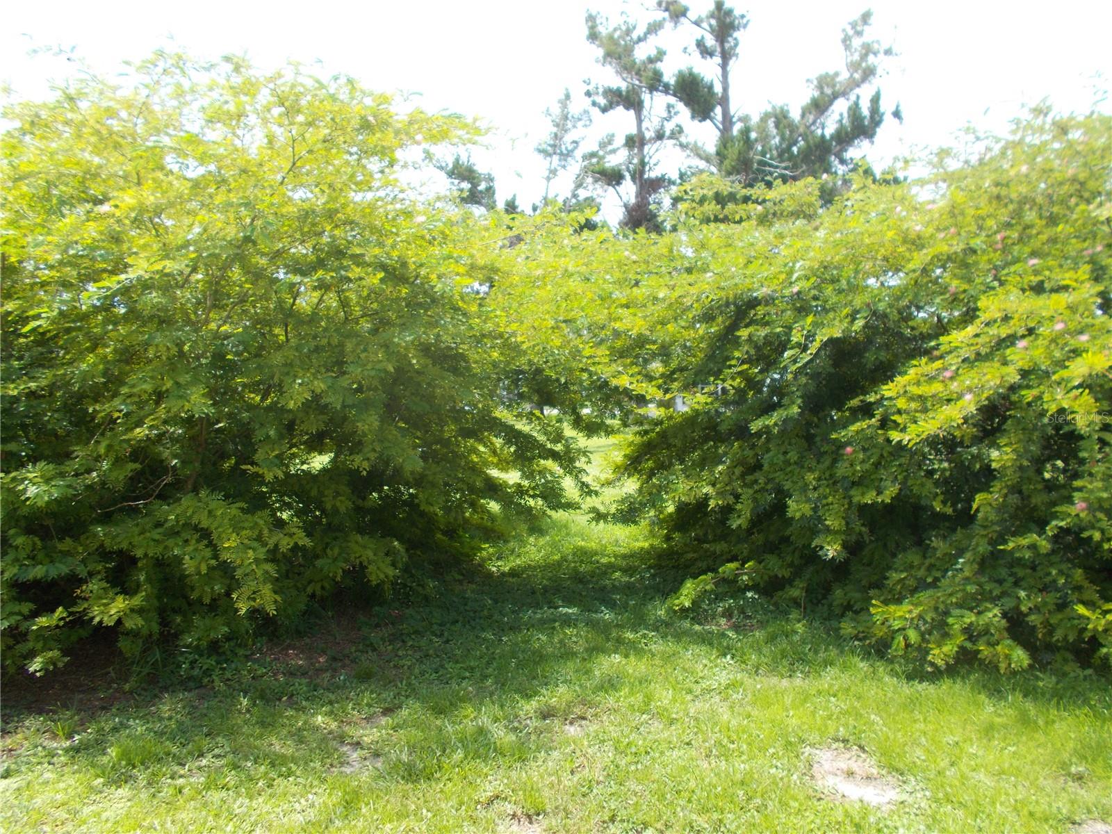 Image 39 of 67 For 6456 Haele Court