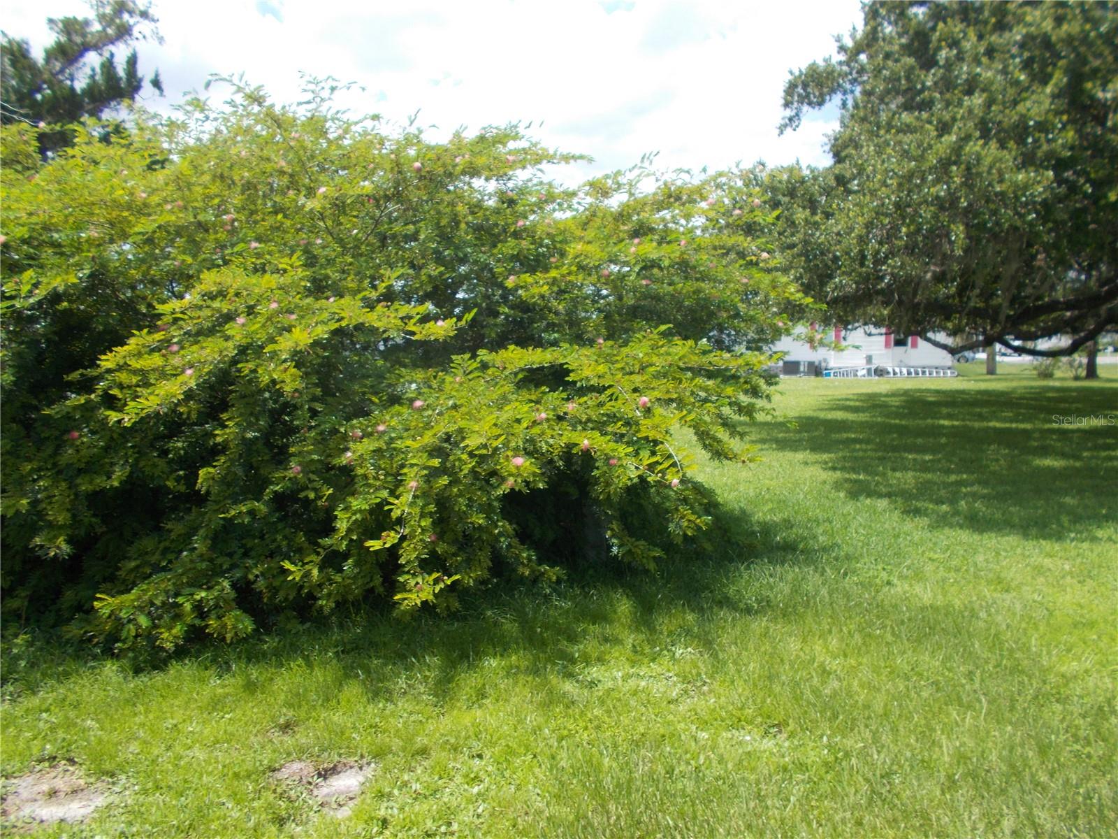 Image 40 of 67 For 6456 Haele Court