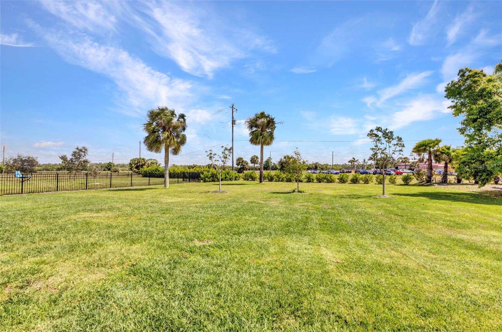 Image 40 of 57 For 7028 Plum Tree