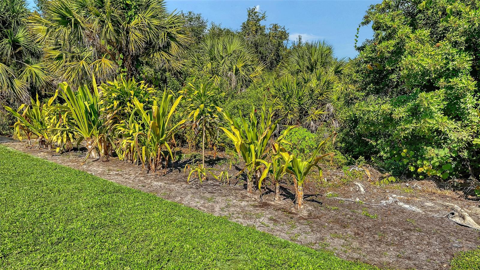 Image 49 of 60 For 21482 Beaverton Avenue