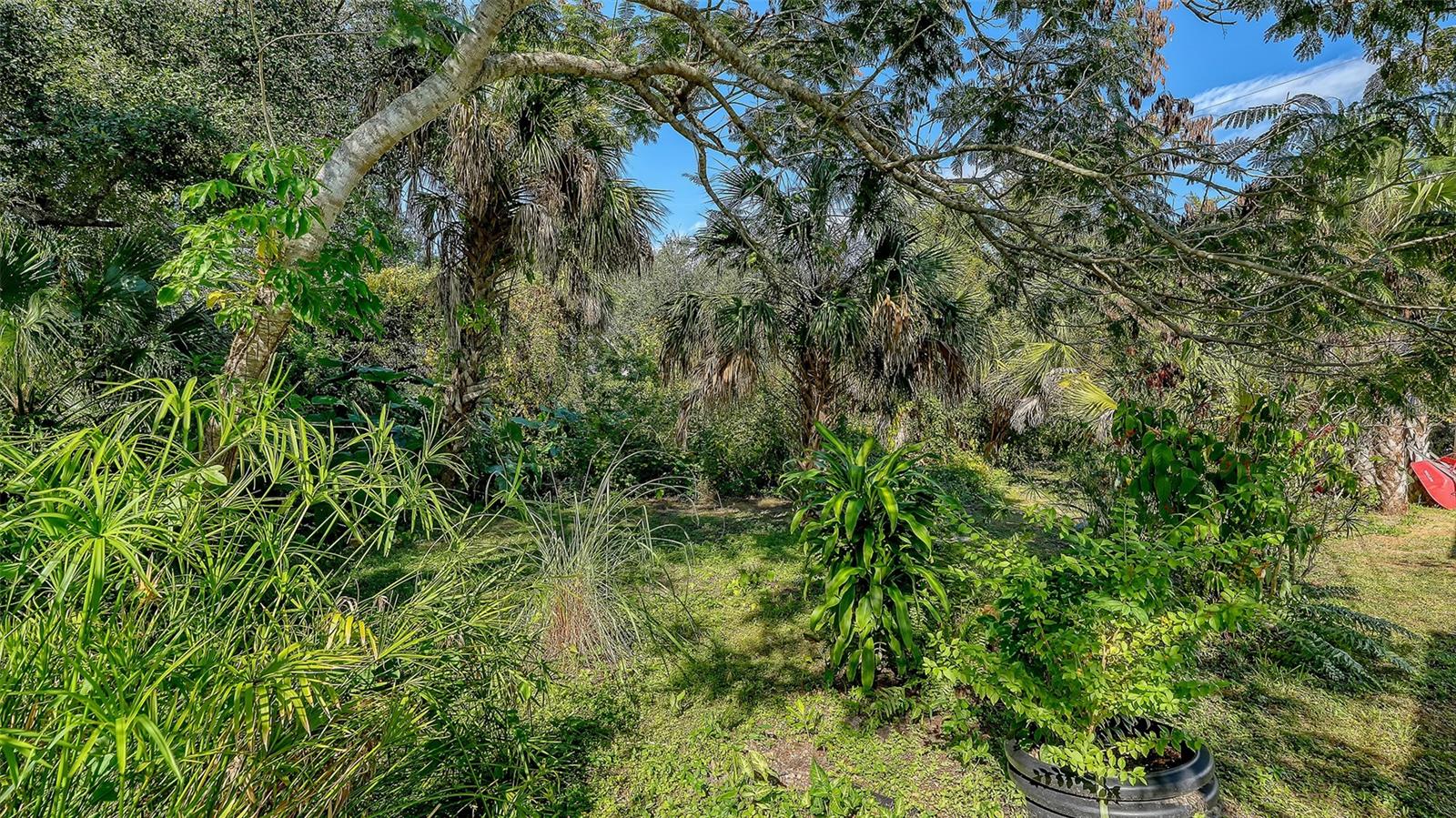 Image 51 of 60 For 21482 Beaverton Avenue