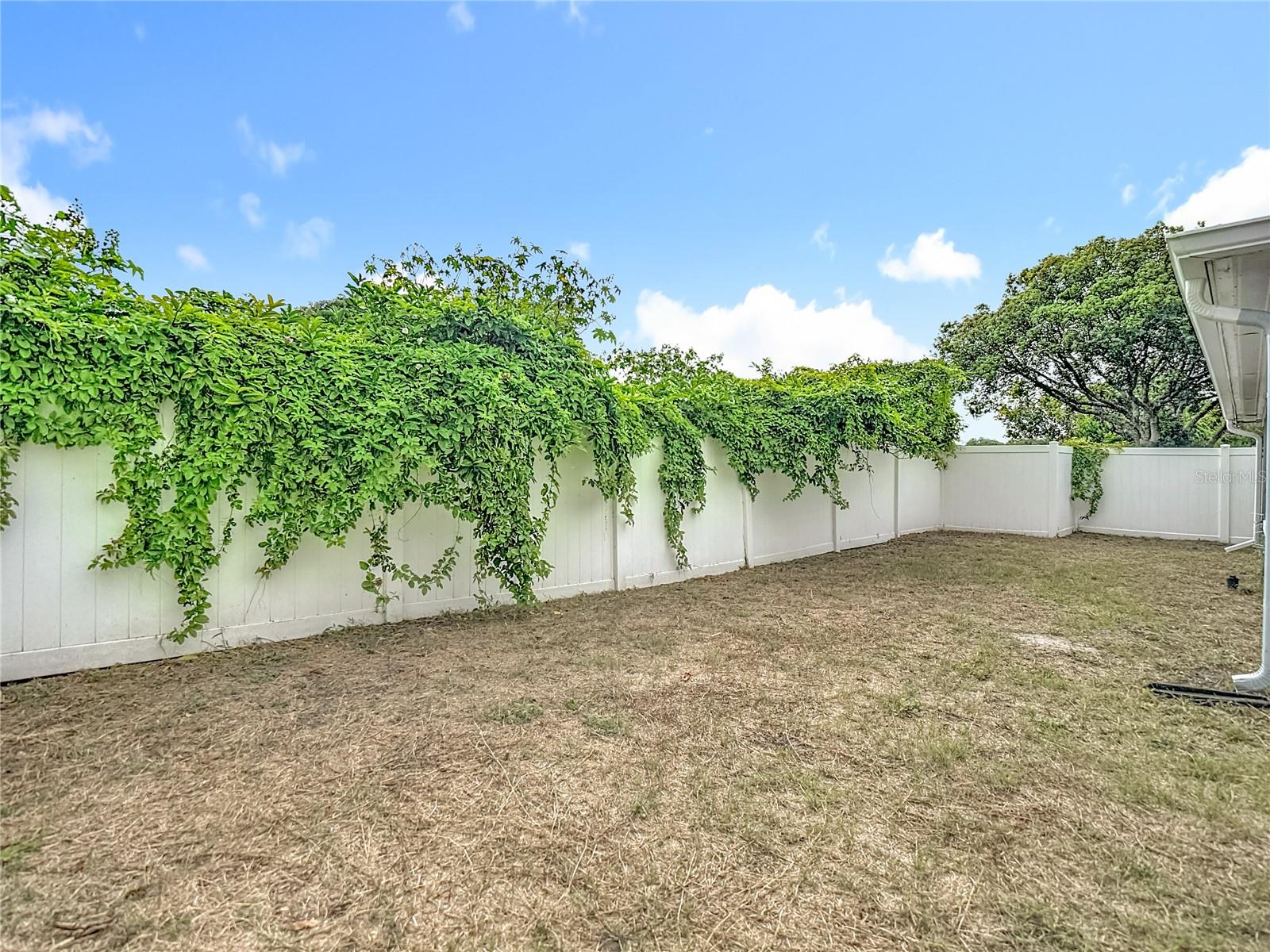 Image 38 of 40 For 11234 Yewtree Avenue