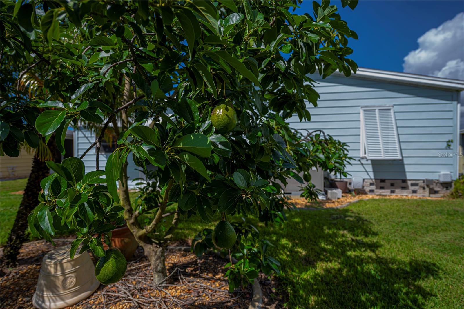 Image 44 of 56 For 715 Tangerine Woods Boulevard