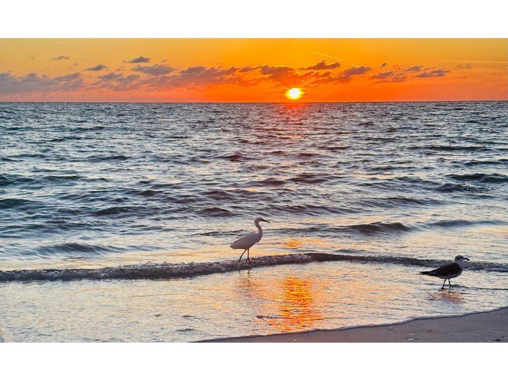 Image 16 of 17 For 8306 Little Gasparilla Island