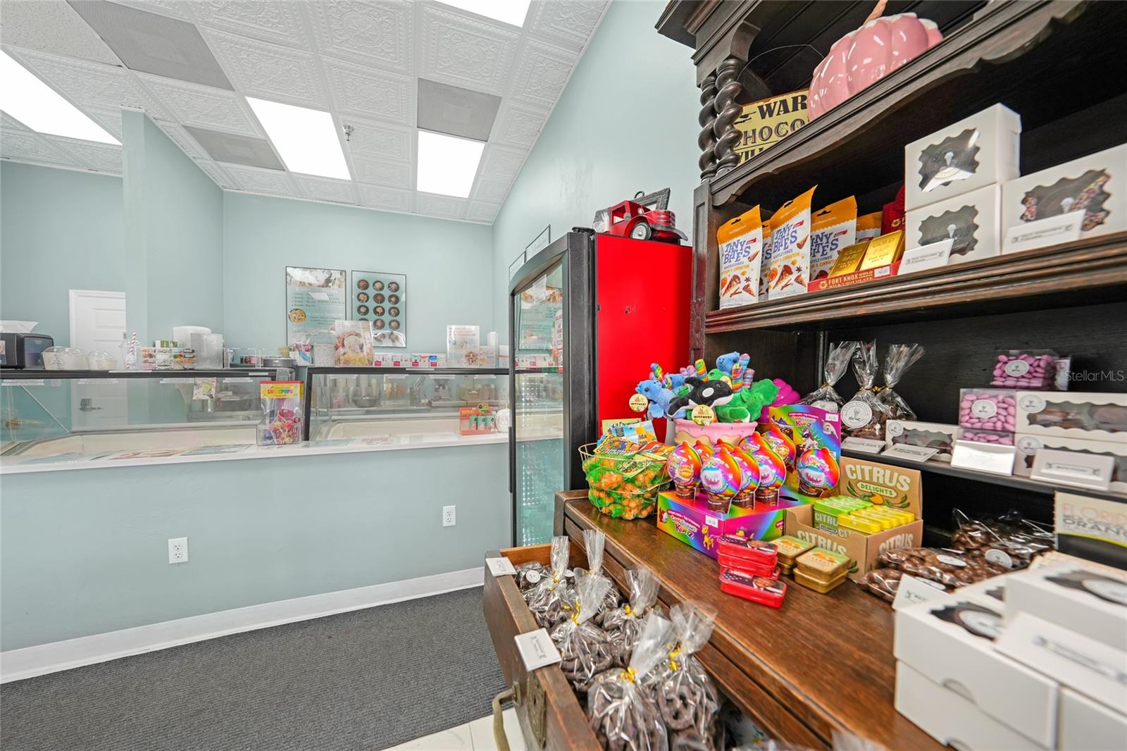 Image 6 of 26 For 203 Oak Street