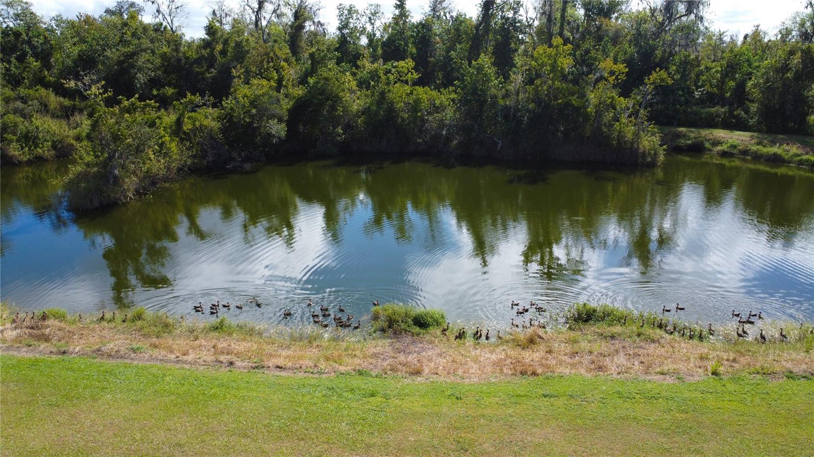 Image 24 of 31 For 3902 Addison Avenue