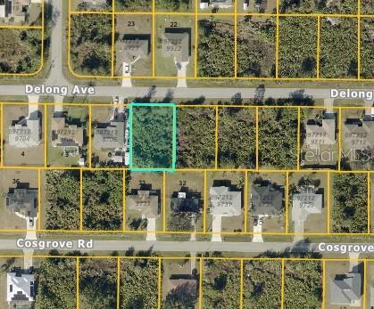 Listing Details for Delong Avenue, NORTH PORT, FL 34291