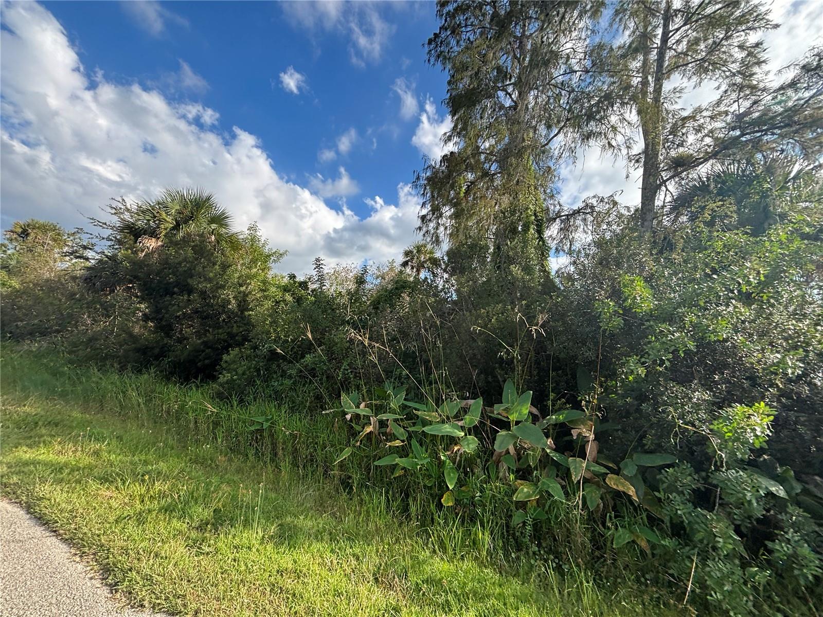 Image 10 of 19 For Xxx 37th Ave Ne