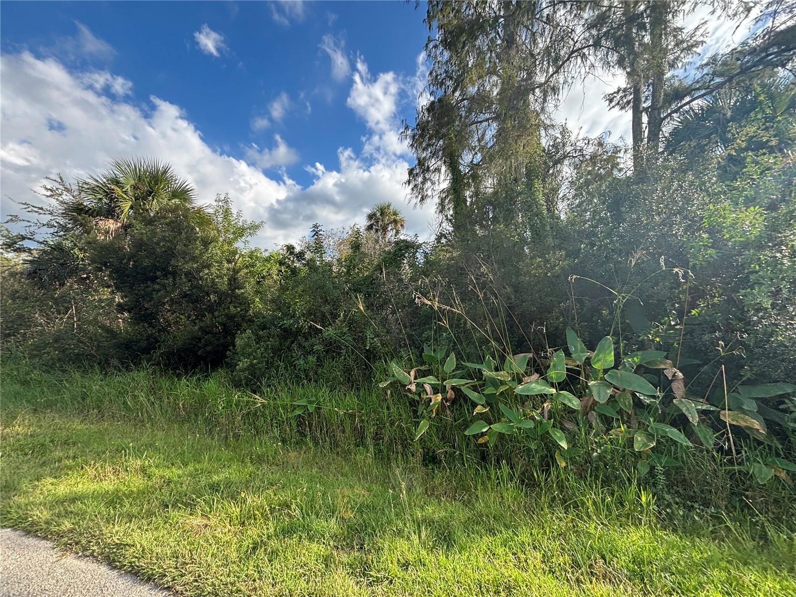 Image 11 of 19 For Xxx 37th Ave Ne