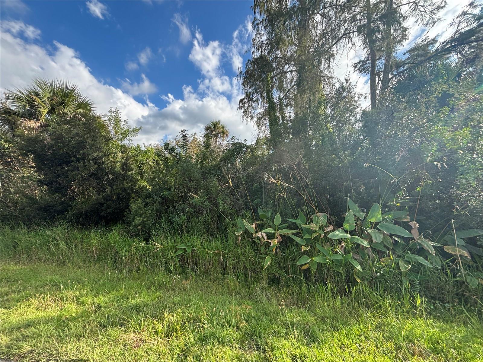 Image 12 of 19 For Xxx 37th Ave Ne