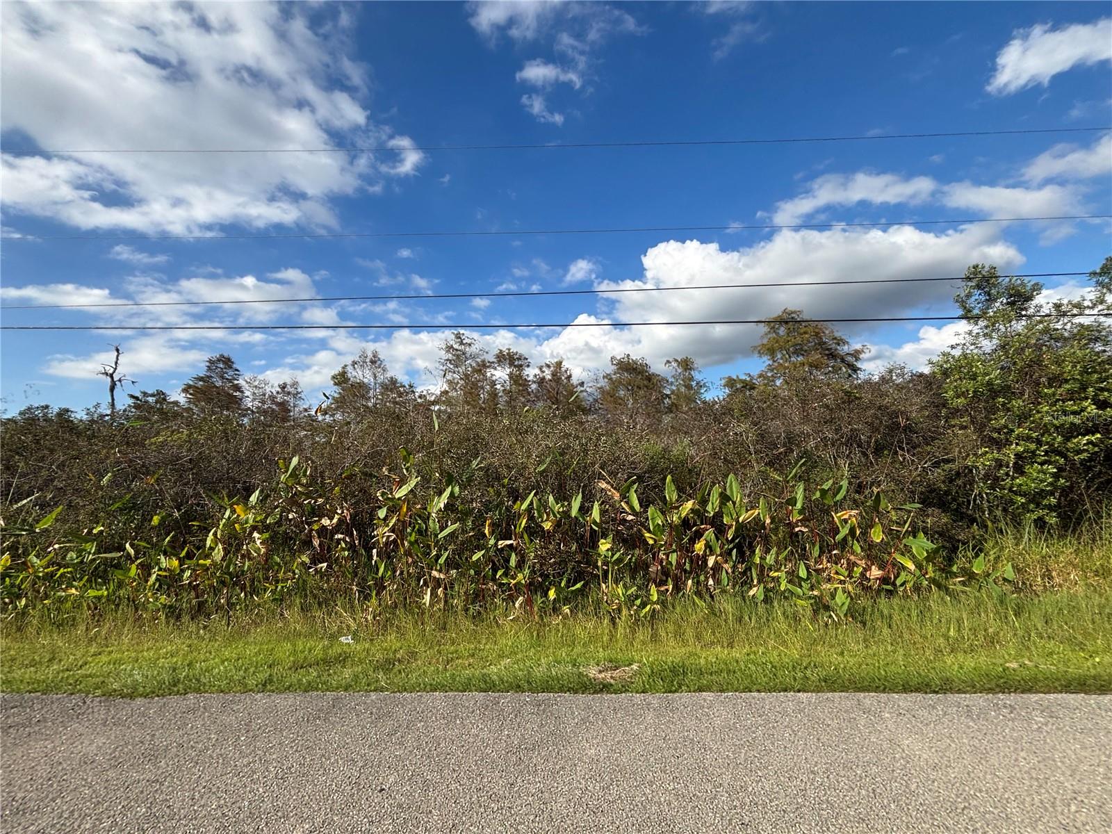 Image 13 of 19 For Xxx 37th Ave Ne