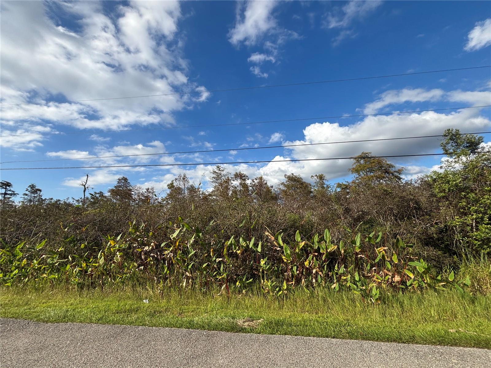 Image 14 of 19 For Xxx 37th Ave Ne