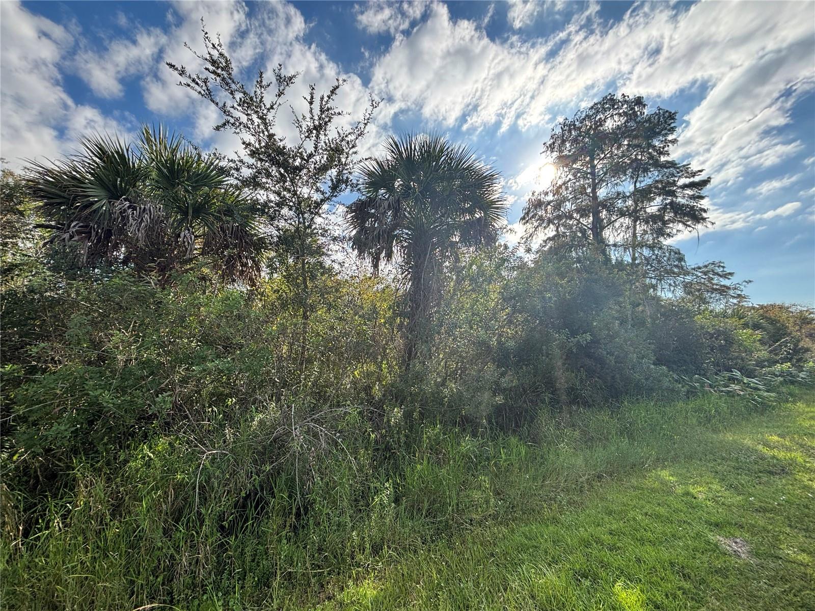 Image 5 of 19 For Xxx 37th Ave Ne