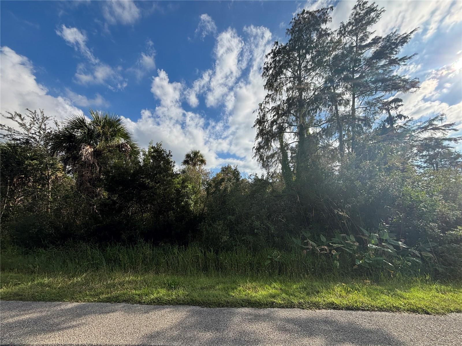 Image 6 of 19 For Xxx 37th Ave Ne