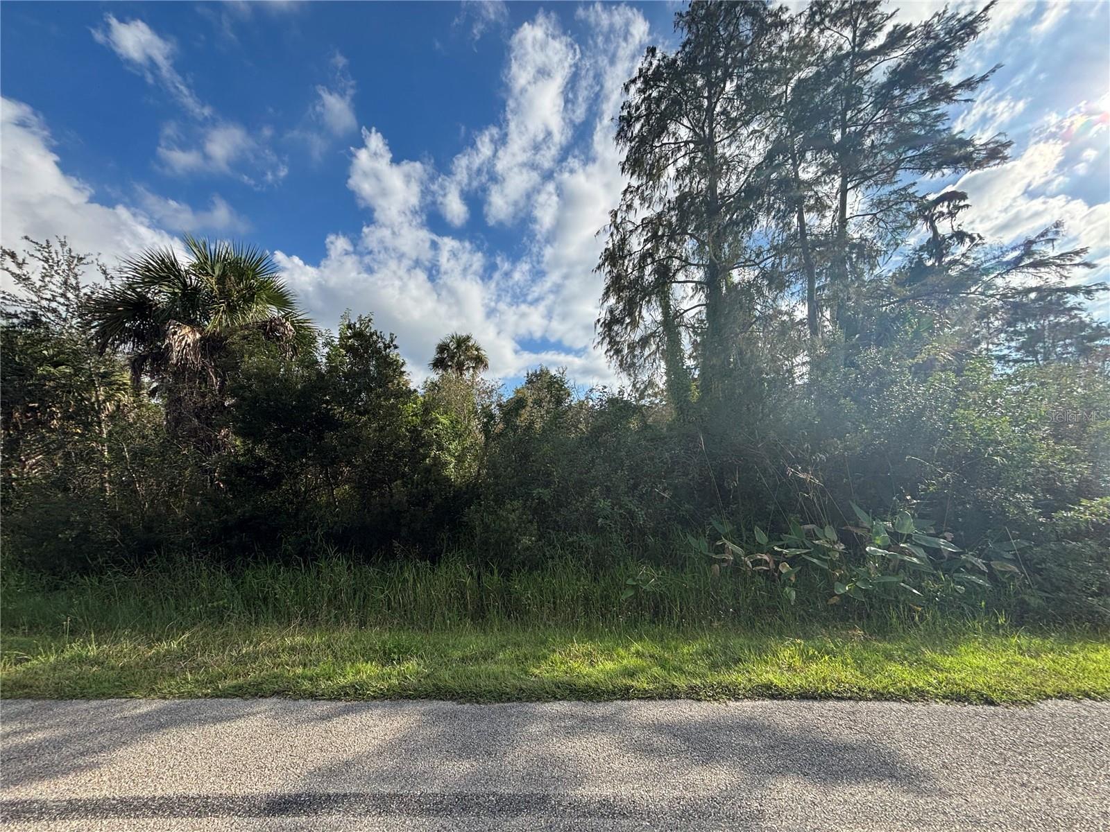 Image 7 of 19 For Xxx 37th Ave Ne