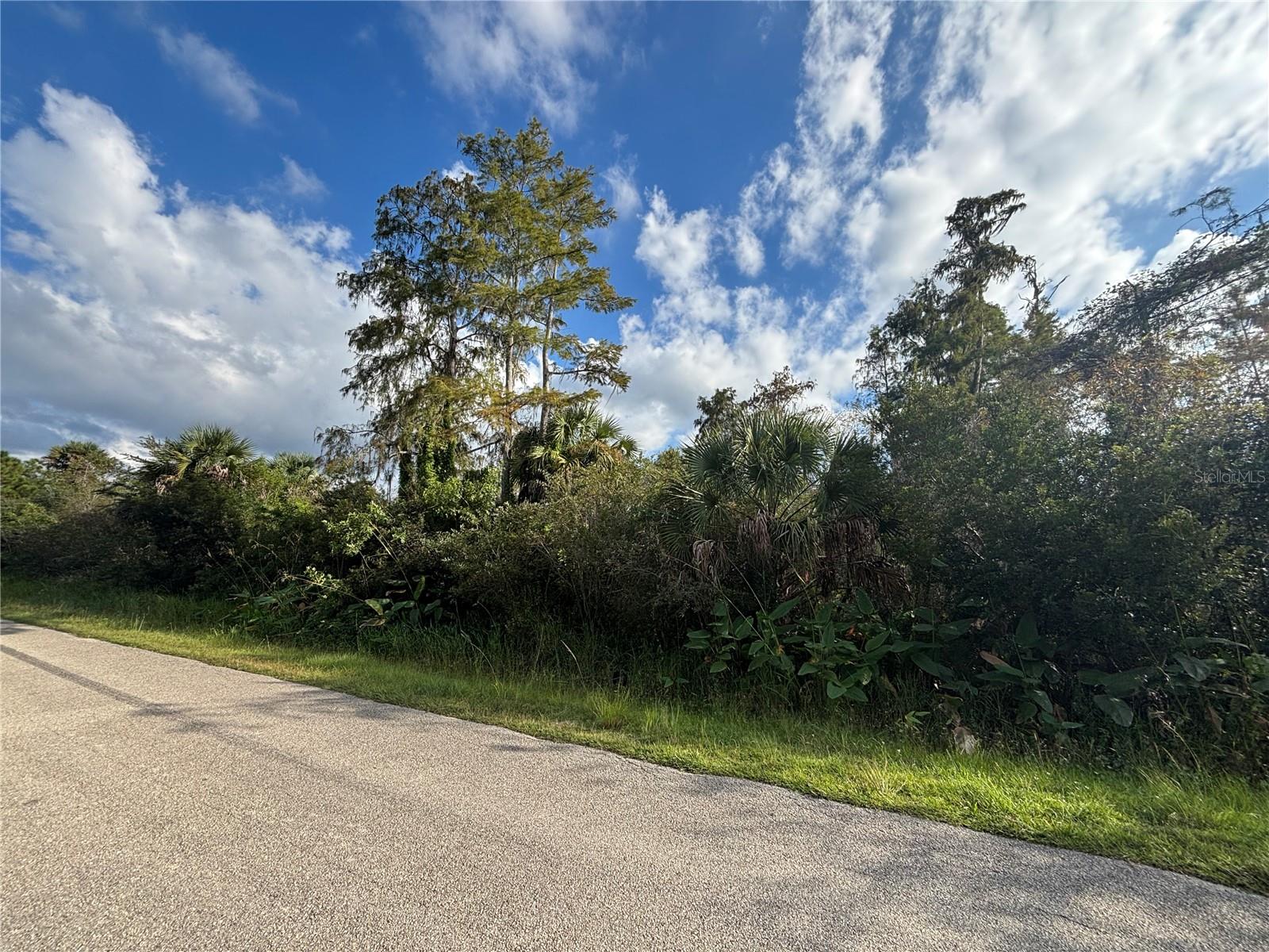 Image 8 of 19 For Xxx 37th Ave Ne