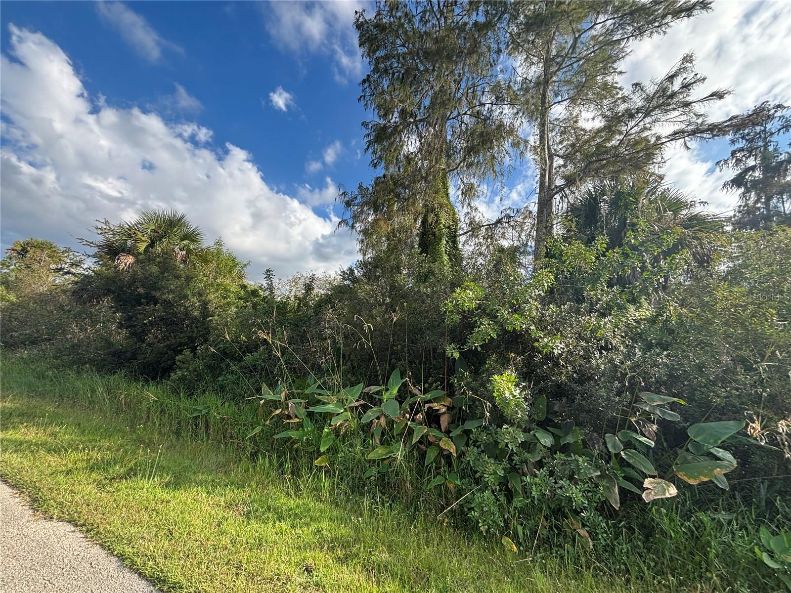 Image 9 of 19 For Xxx 37th Ave Ne