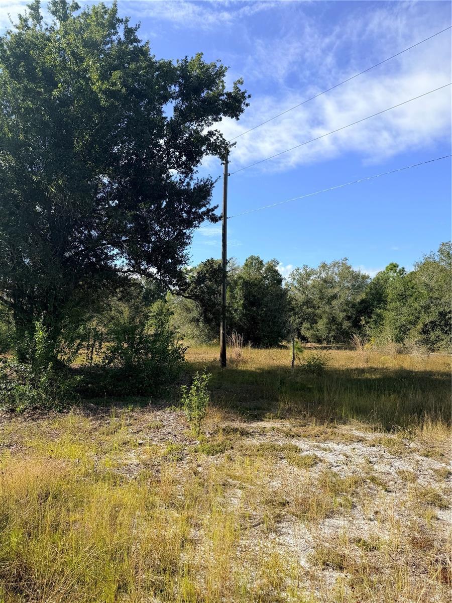 Image 4 of 7 For 13263 Banyan Drive
