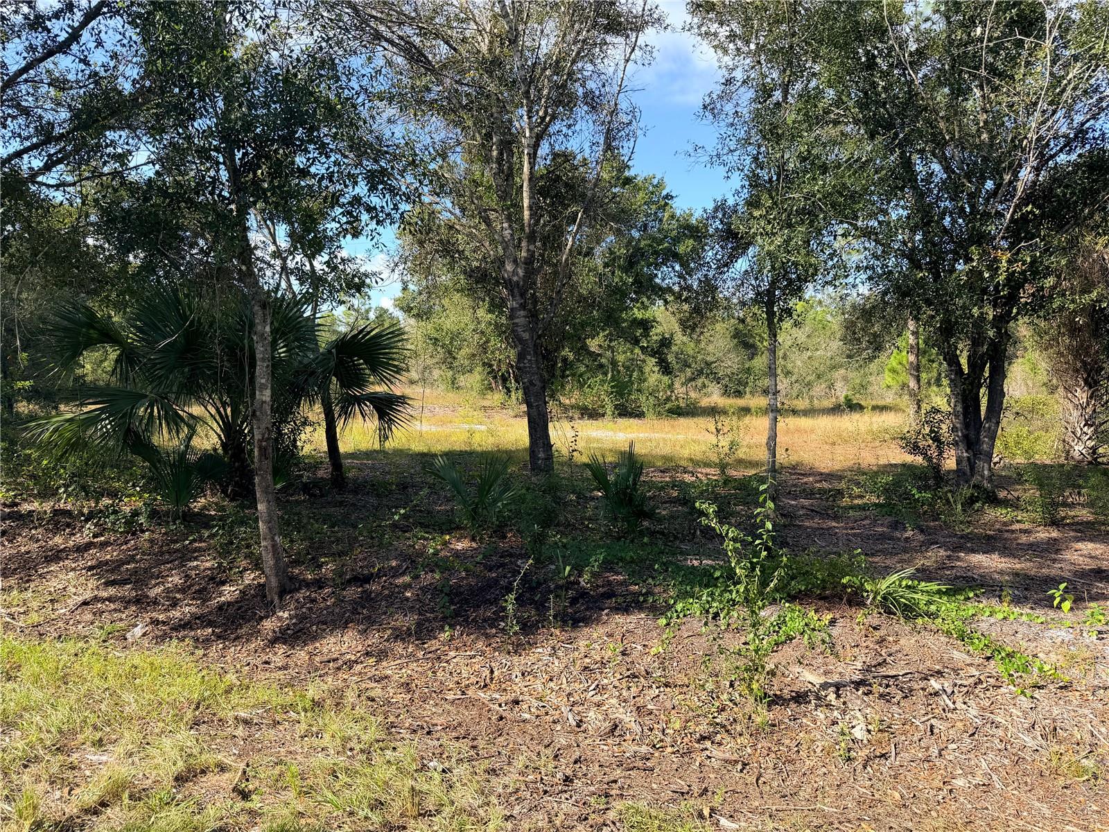 Image 5 of 7 For 13263 Banyan Drive
