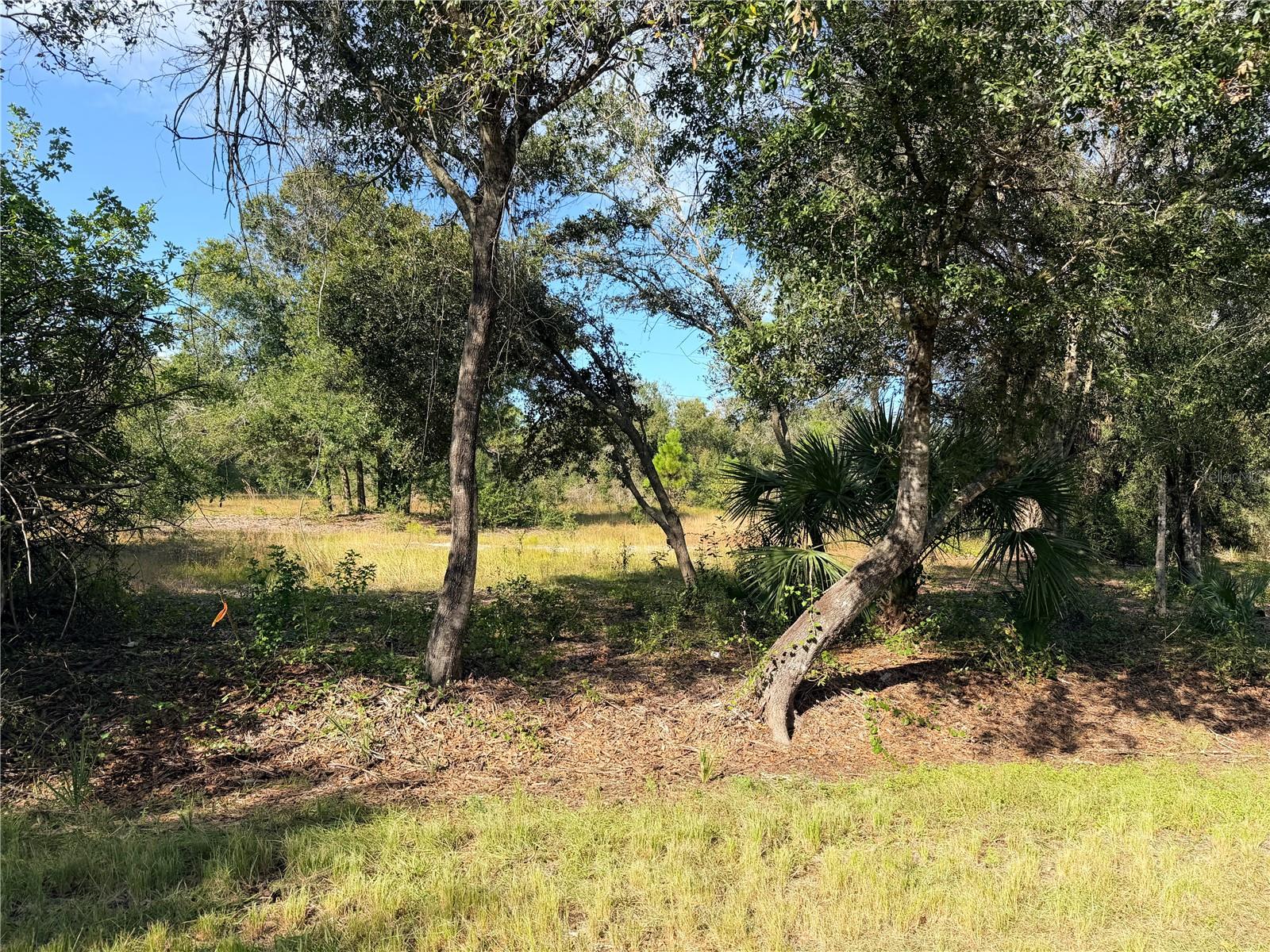 Image 6 of 7 For 13263 Banyan Drive