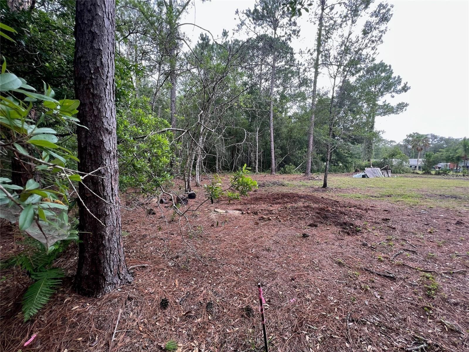 Image 5 of 9 For 12955 Rio Vista Avenue