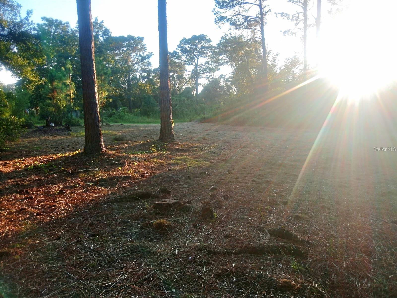 Image 7 of 9 For 12955 Rio Vista Avenue