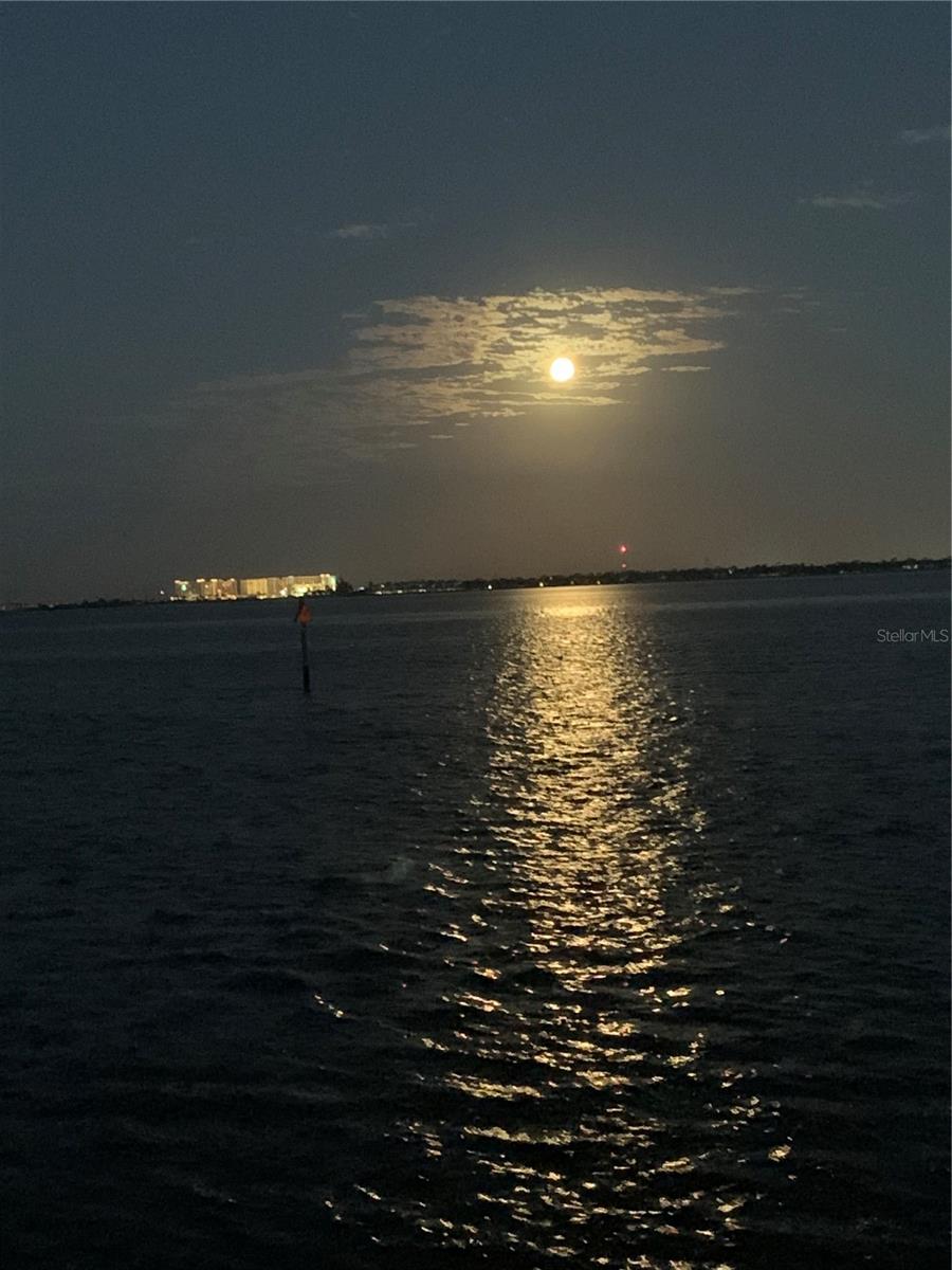 Image 57 of 77 For 25188 Marion Ave  11