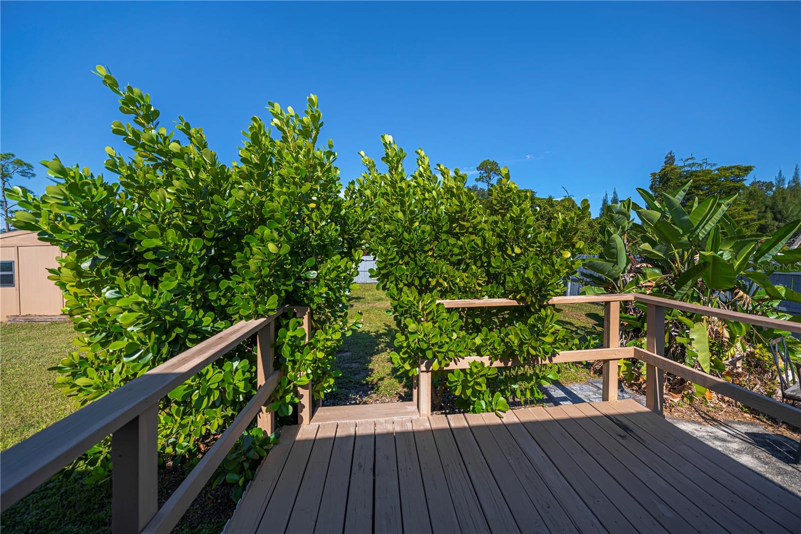 Image 49 of 69 For 15312 Mango Drive