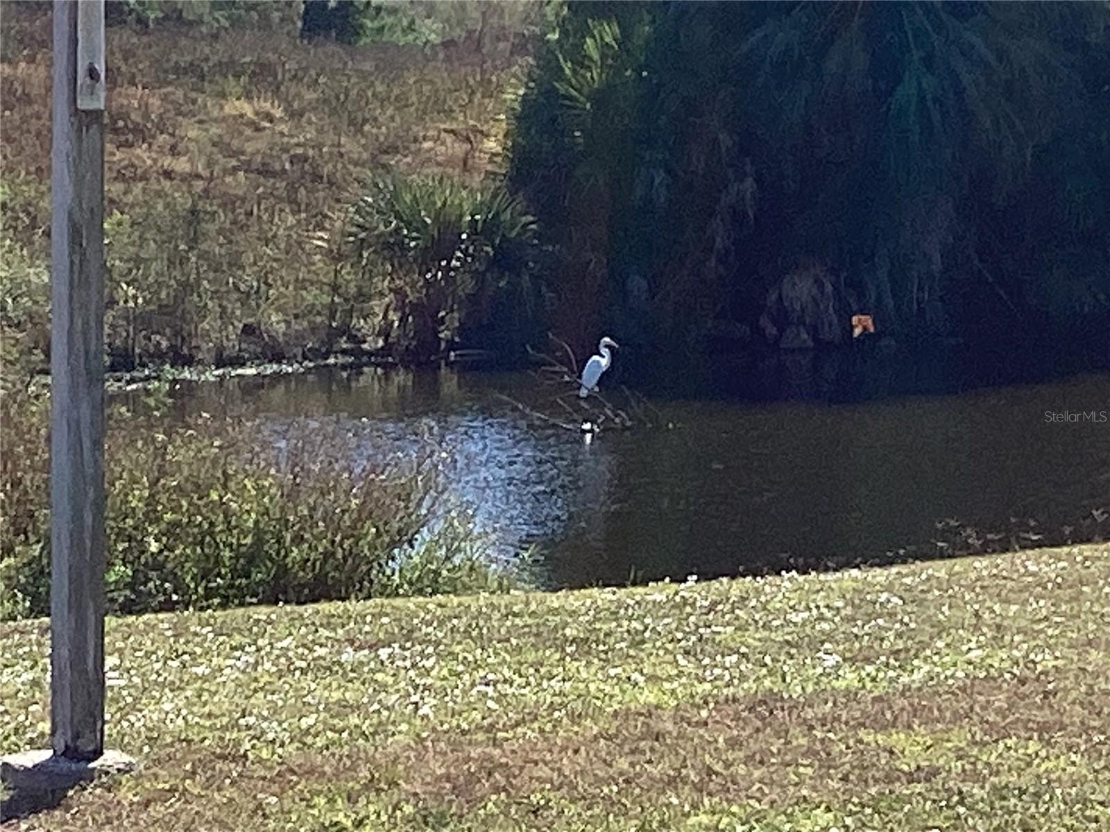 Image 33 of 45 For 2253 Alton Road