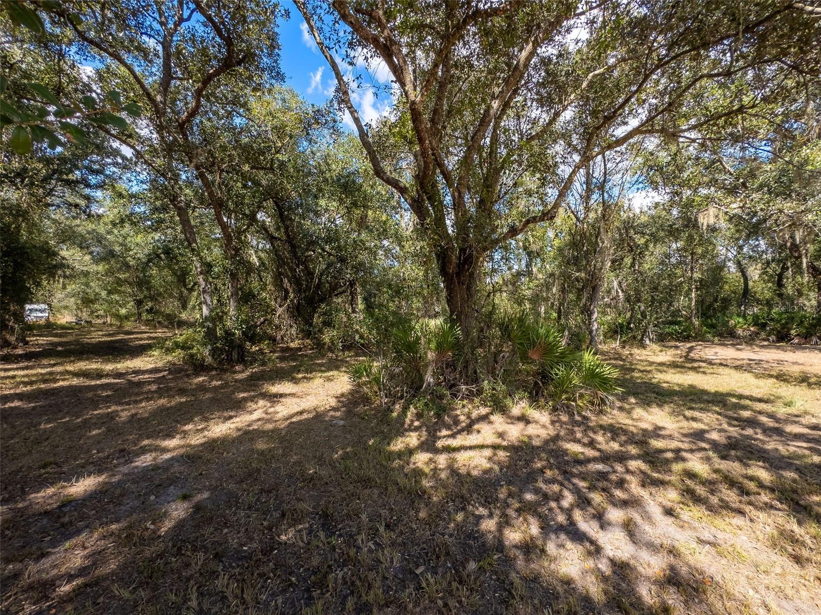 Image 12 of 37 For Address Not Provided