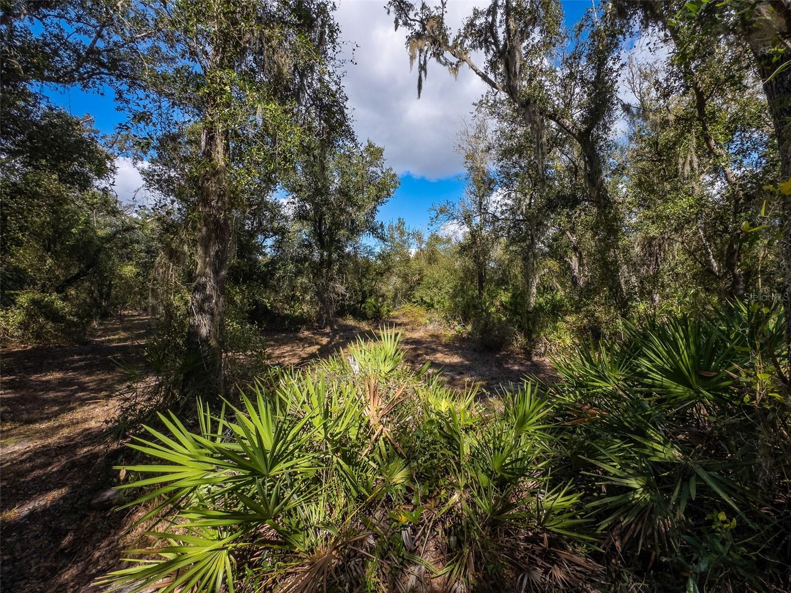 Image 13 of 37 For Address Not Provided