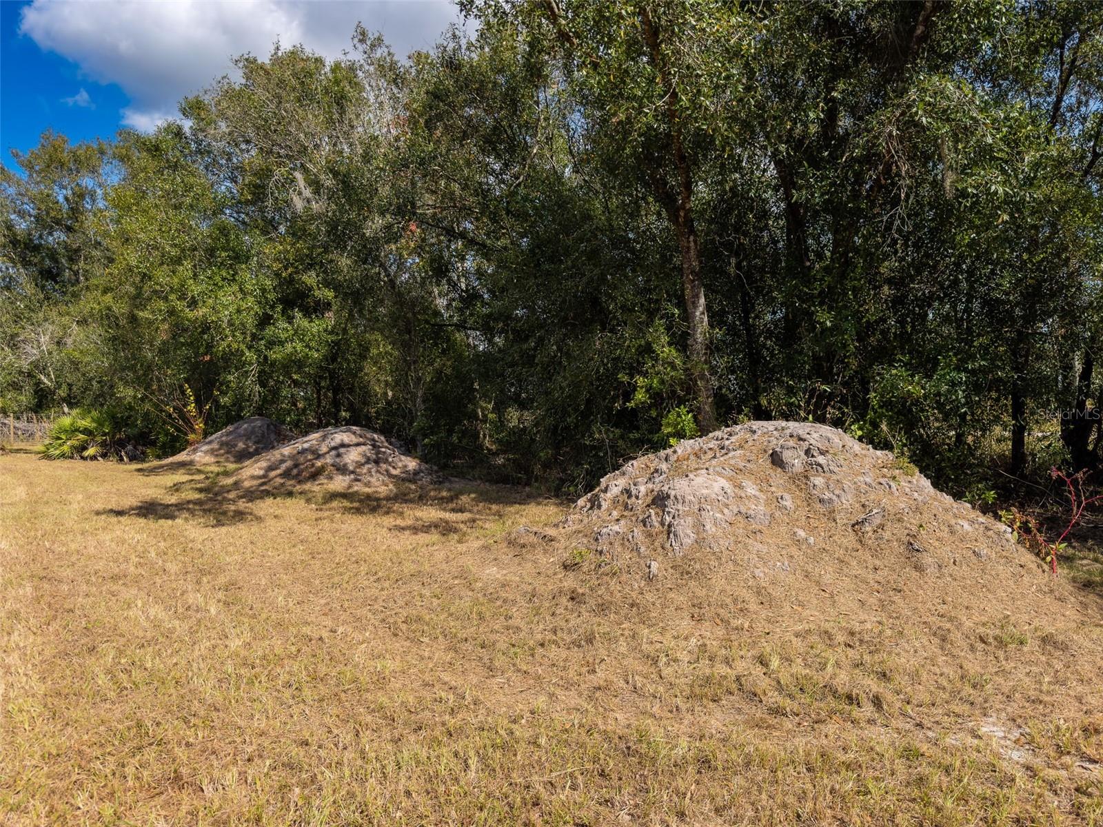 Image 18 of 37 For Address Not Provided