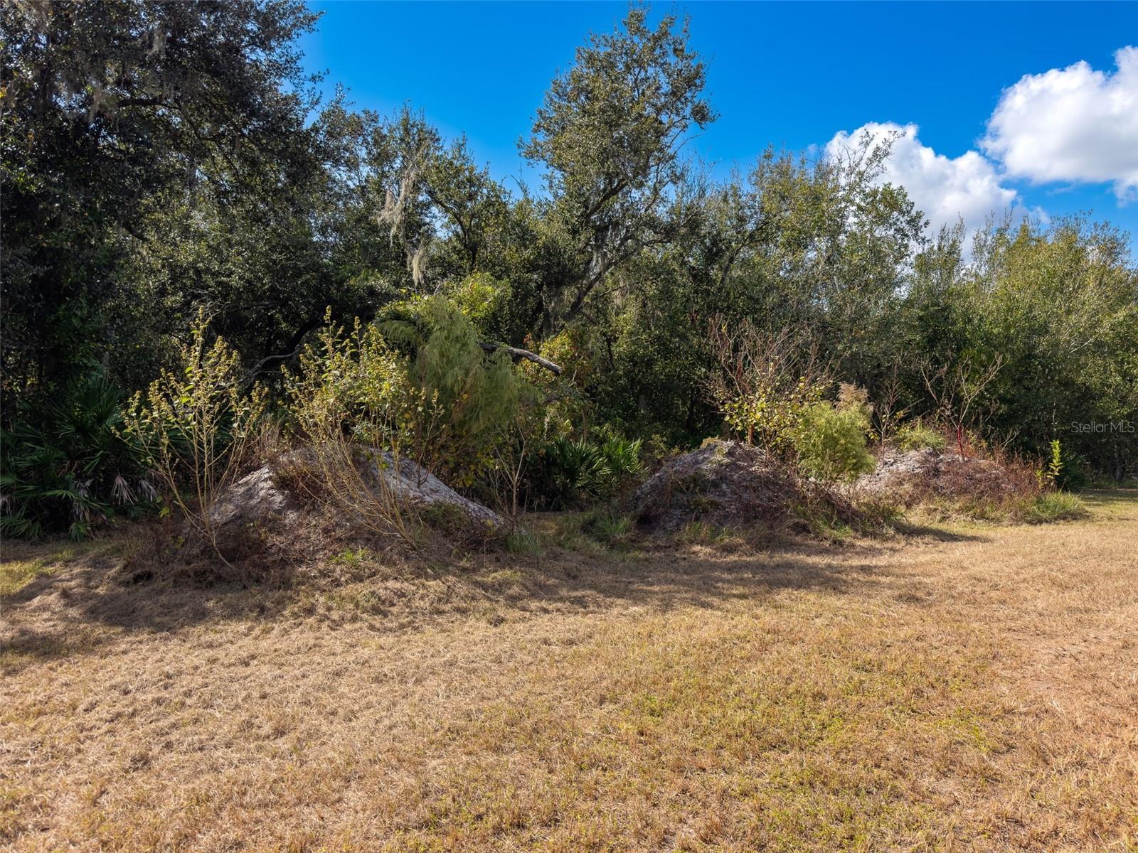 Image 19 of 37 For Address Not Provided