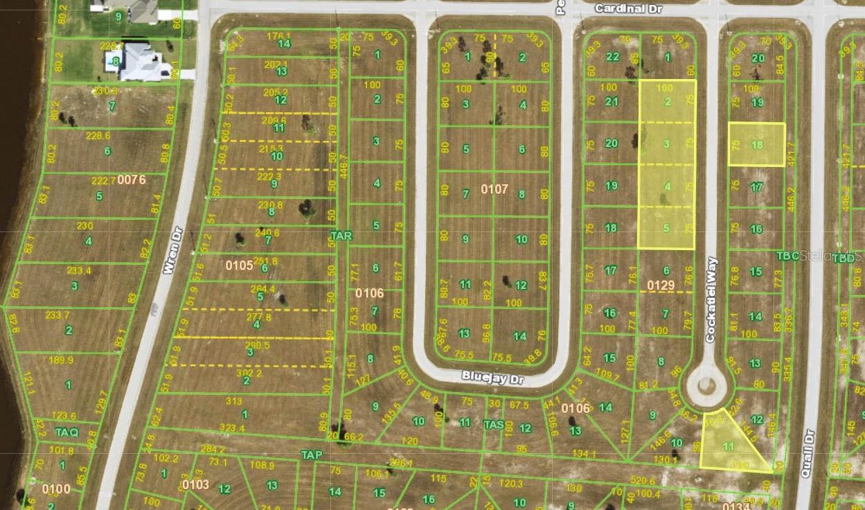 Details for 11 Cockatiel Way, PLACIDA, FL 33946