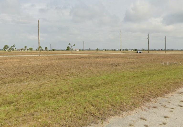 Image 2 of 6 For 11 Cockatiel Way