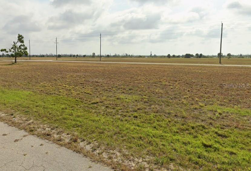 Image 3 of 6 For 11 Cockatiel Way