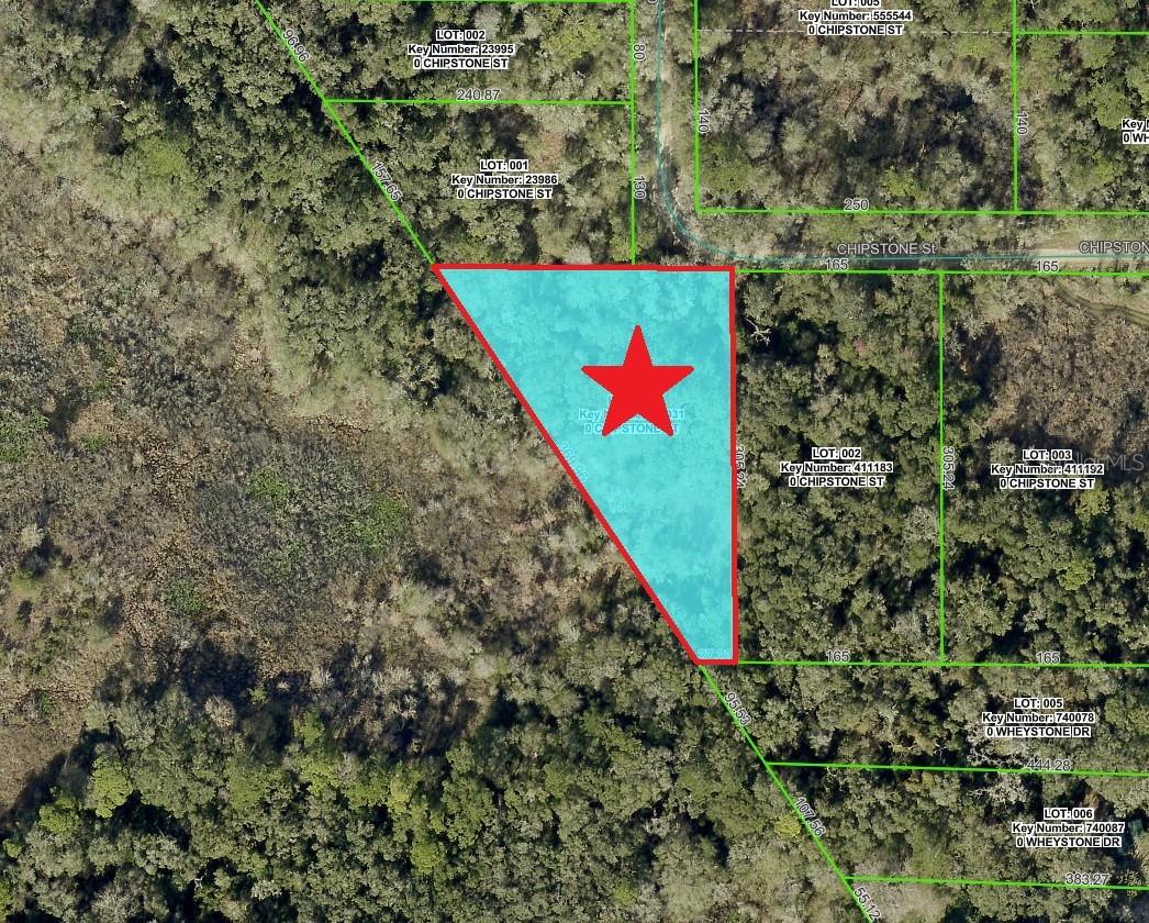Details for Lot 1 Chipstone Street, WEBSTER, FL 33597