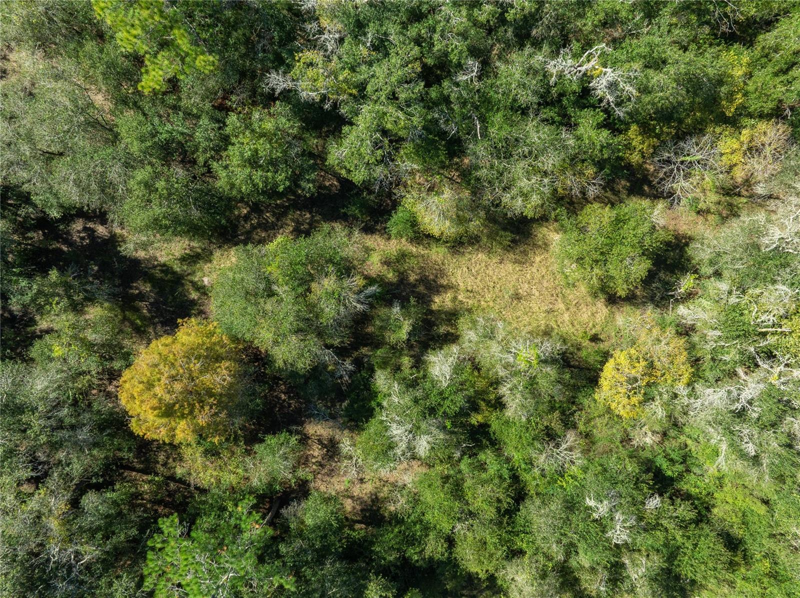 Image 11 of 16 For Lot 1 Chipstone Street