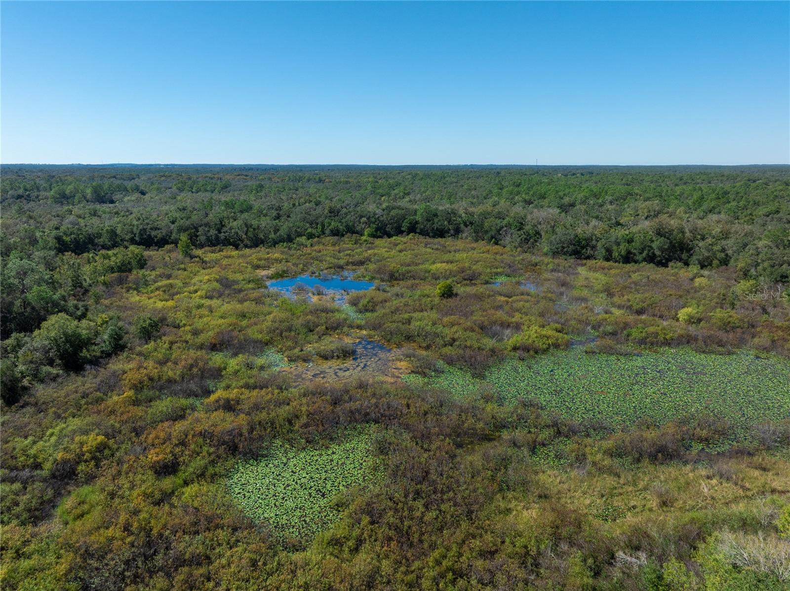 Image 12 of 16 For Lot 1 Chipstone Street