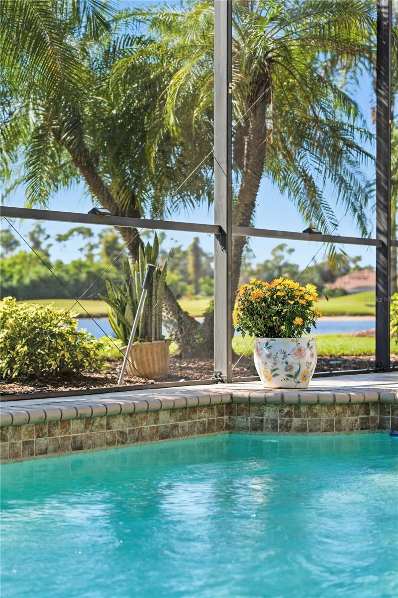 Image 50 of 63 For 5253 Grand Palmetto Way